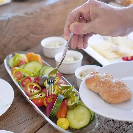 Çiftlik konaklama Bauernhof Gschmeidler *