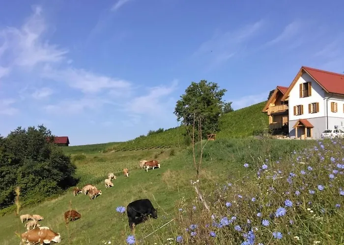 Farm stay Bauernhof Gschmeidler